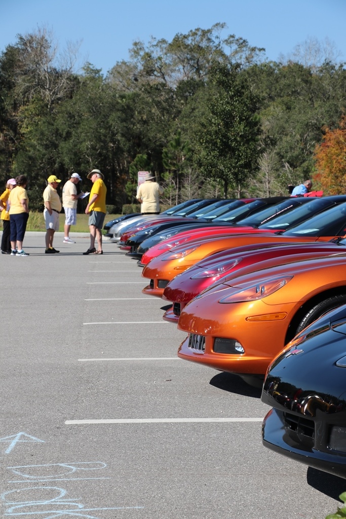 Ecklers 30th corvette reunion 252